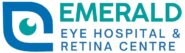 emeraldeyehospital-com.preview-domain.com